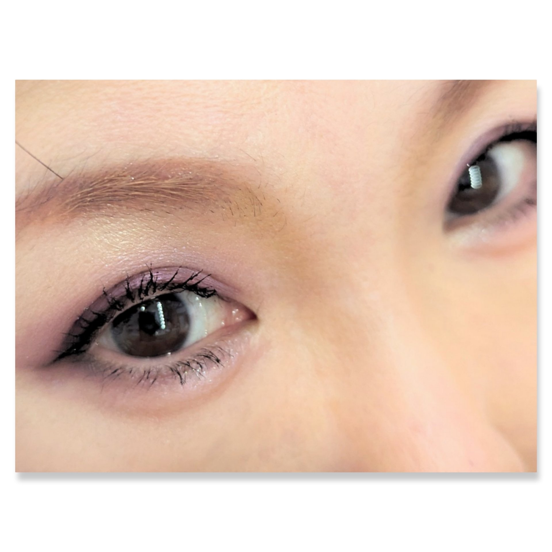 ロイヤルヴィンテージ アイズ/リンメル ロンドン/アイシャドウパレットを使ったクチコミ（2枚目）