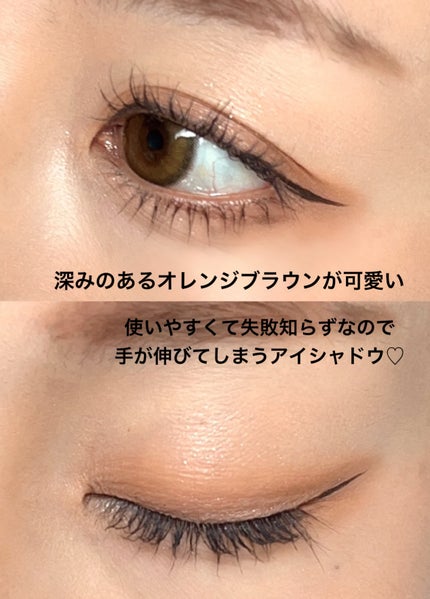 ブラーフィニシュシャドウパレット/Dinto/アイシャドウパレットを使ったクチコミ(4枚目)