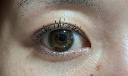 BORN TO BE マッドプルーフ フィクシングマスカラ LV.1/A’pieu/マスカラを使ったクチコミ(2枚目)