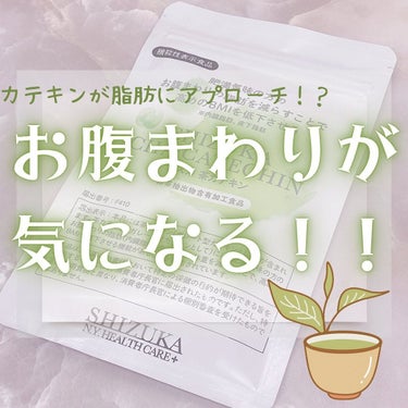 シズカ茶カテキン/Shizuka BY SHIZUKA NEWYORK/健康サプリメントを使ったクチコミ（1枚目）