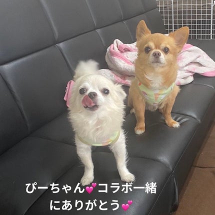 ビューティーボックス/LANCOME/メイクアップキットを使ったクチコミ(9枚目)