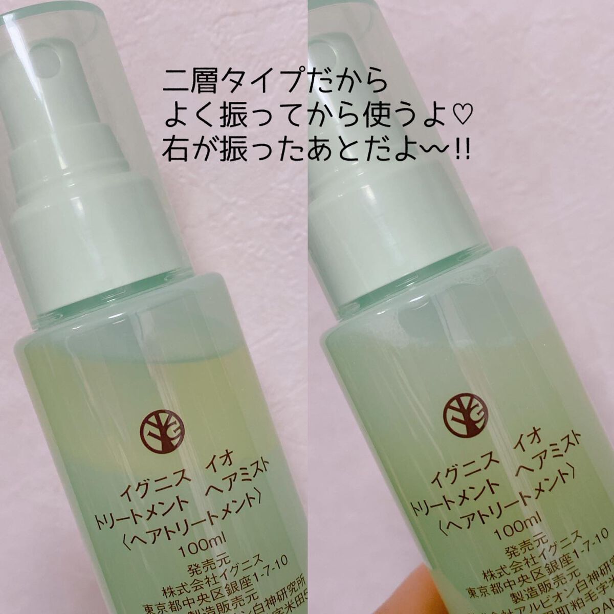 試してみた】IGNIS イグニス イオ トリートメント ヘアミストの効果