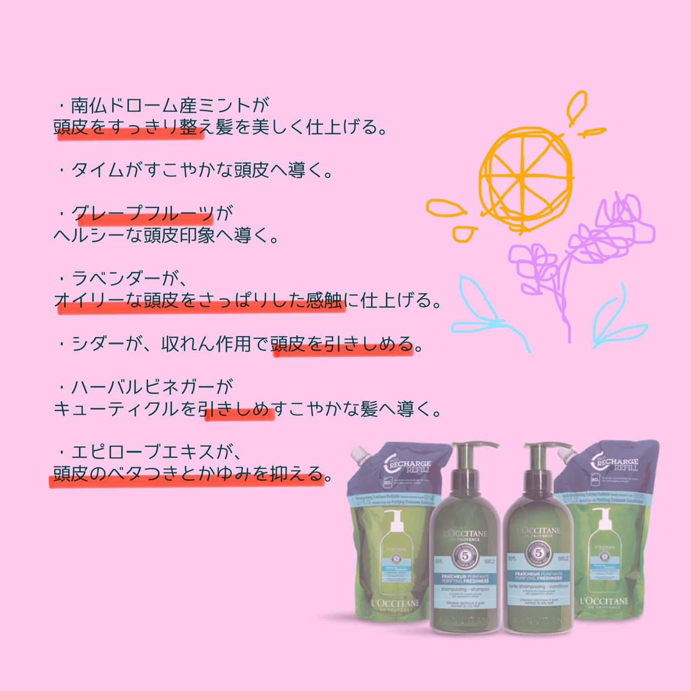 ファイブハーブス ピュアフレッシュネス シャンプー/コンディショナー/L'OCCITANE/市販シャンプーを使ったクチコミ(5枚目)