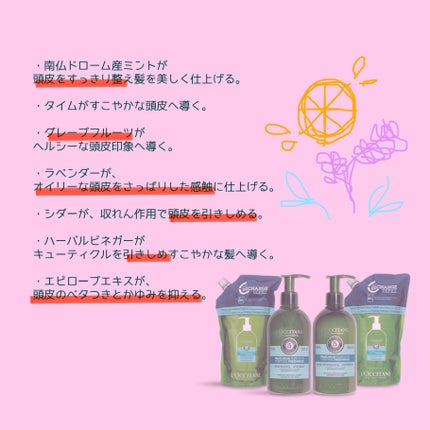 ファイブハーブス ピュアフレッシュネス シャンプー/コンディショナー シャンプー500ml/L'OCCITANE/市販シャンプーの画像