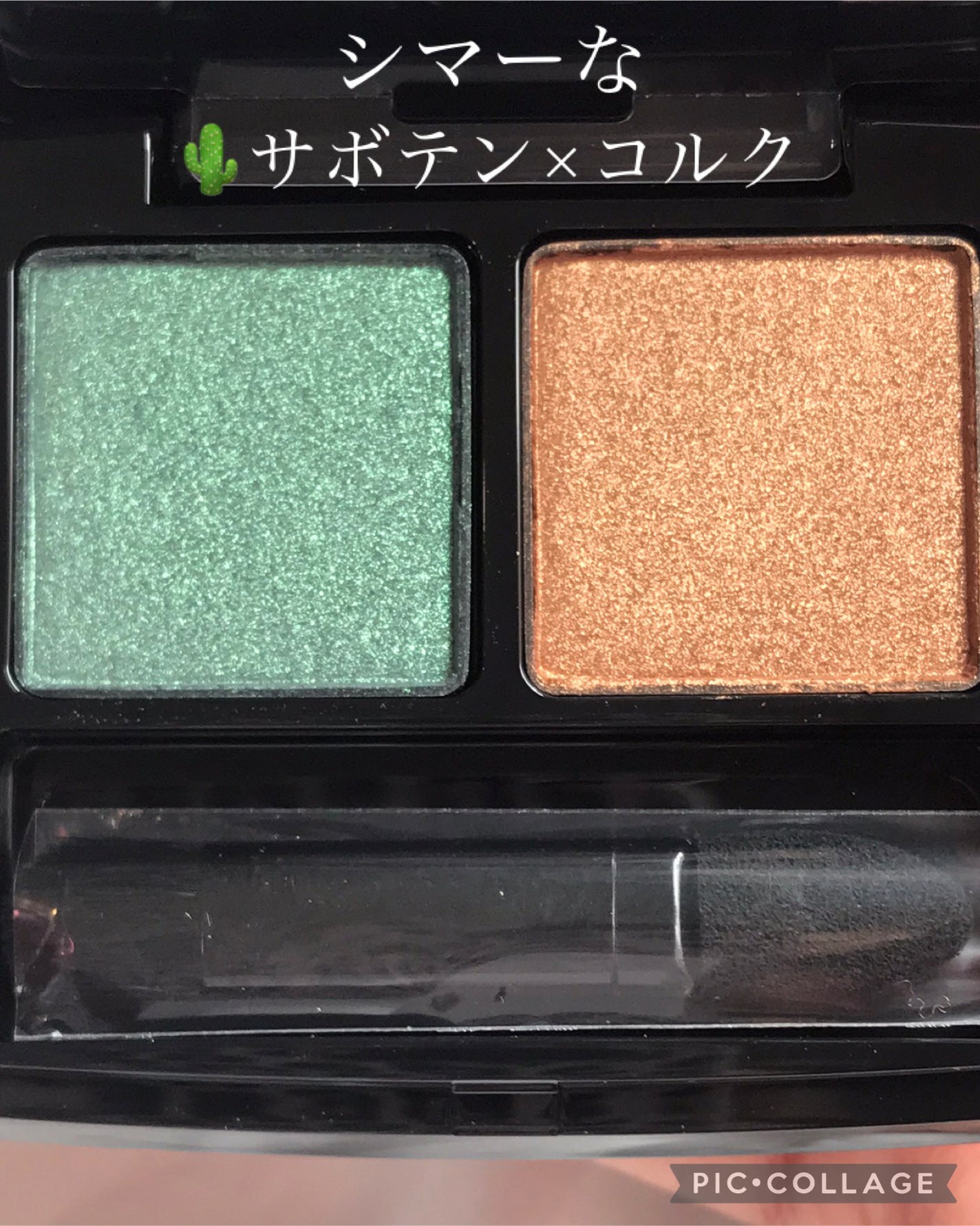 アイカラーコンパクト/ANNA SUI/アイシャドウパレットを使ったクチコミ(2枚目)