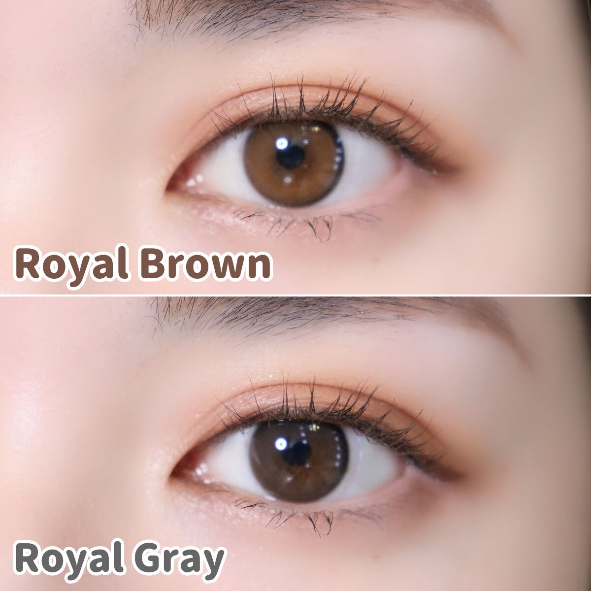 COLOさん˚✧₊⁎❝᷀ົཽ≀ˍ̮ ❝᷀ົཽ⁎⁺˳✧༚ on LIPS 「本日紹介するのは5月下旬に発売予定のオリアナFITRoyalB..」(5枚目)