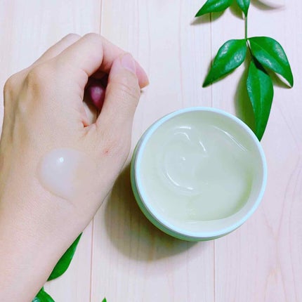 ワフードメイド 宇治抹茶オールインワンジェル/pdc/オールインワン化粧品を使ったクチコミ(2枚目)