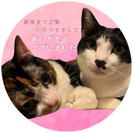 スーパーシャープライナーEX4.0/KATE/リキッドアイライナーを使ったクチコミ(6枚目)