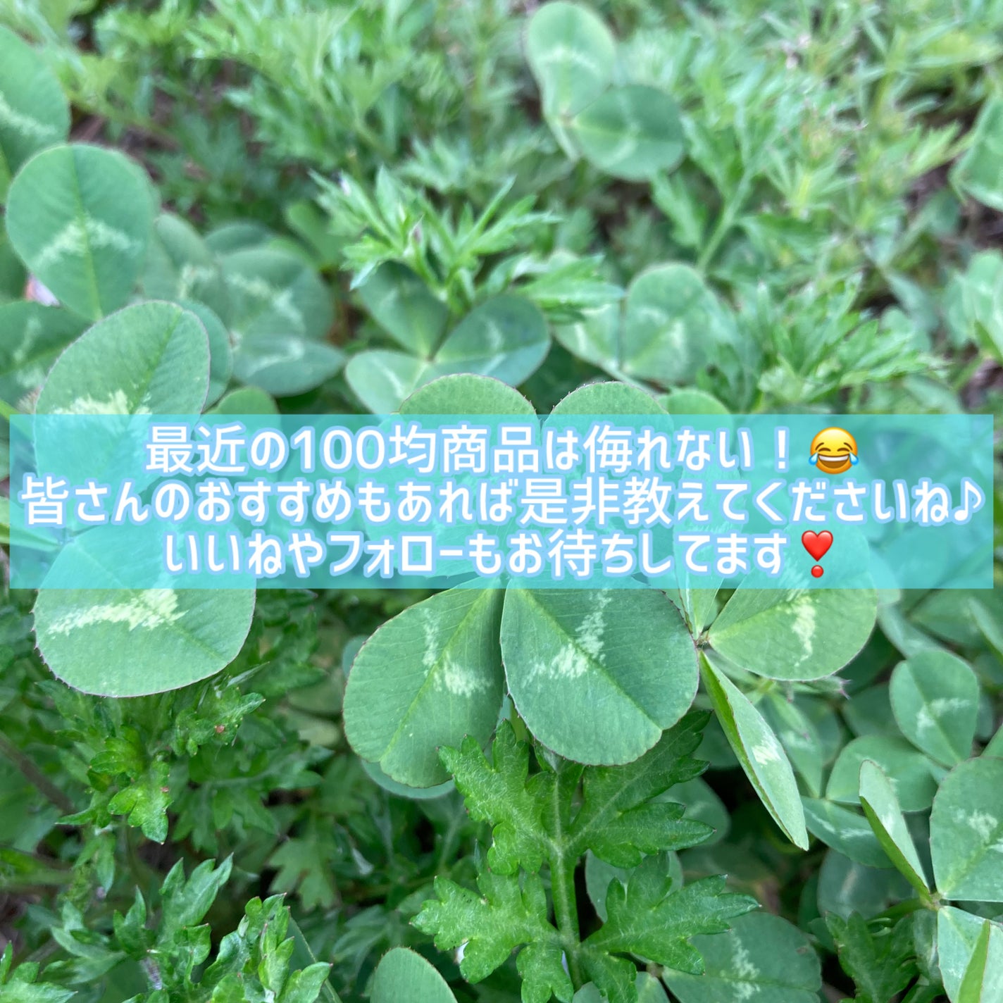 &.ポイントカバーステック/DAISO/スティックコンシーラーを使ったクチコミ(4枚目)