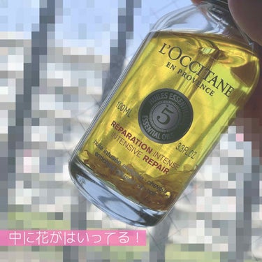 ファイブハーブス リペアリングインテンシヴオイル/L'OCCITANE/ヘアオイルを使ったクチコミ（4枚目）