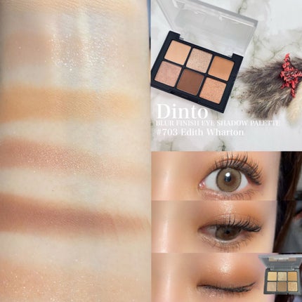ブラーフィニシュシャドウパレット/Dinto/アイシャドウパレットを使ったクチコミ(4枚目)