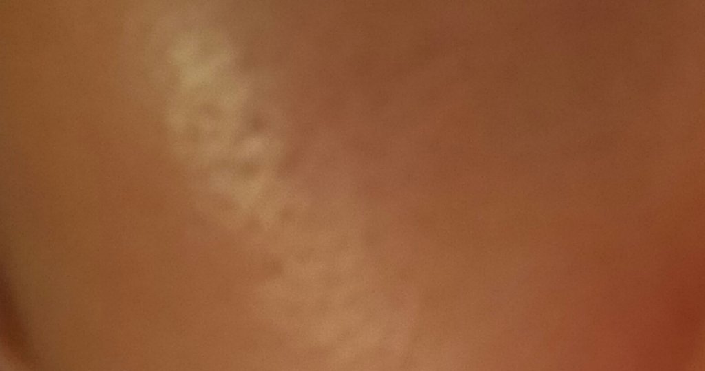 ミラミックス/ZO Skin Health/フェイスクリームを使ったクチコミ（2枚目）