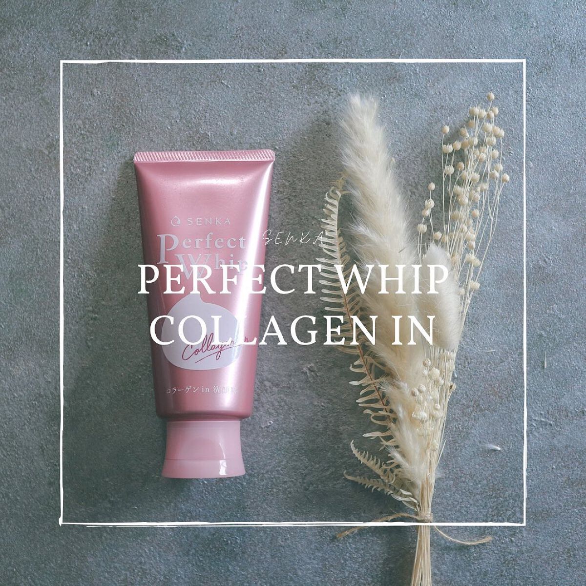 パーフェクトホイップ コラーゲンin/SENKA（専科）/洗顔フォームを使ったクチコミ（1枚目）