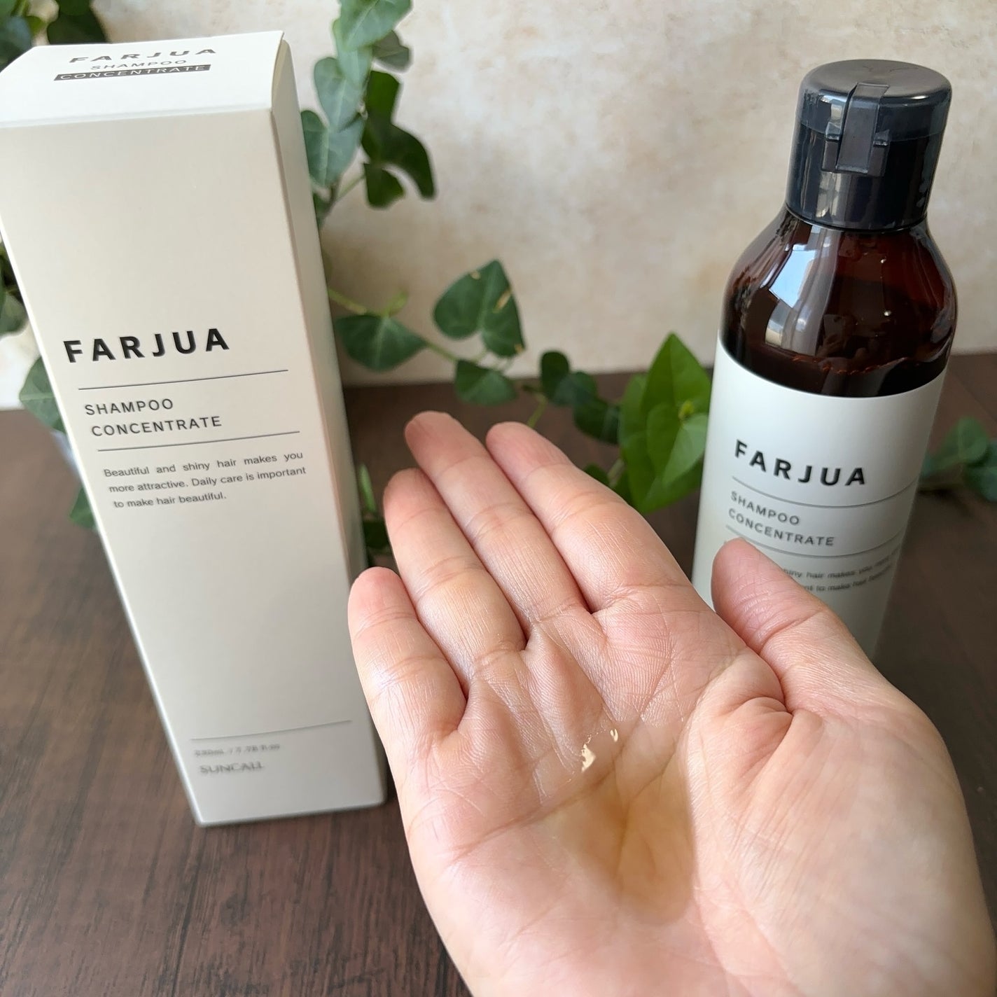 サンコールのヘアケア・スタイリング ファルジュア シャンプー サンコールのヘアケア・スタイリング ファルジュア シャンプー