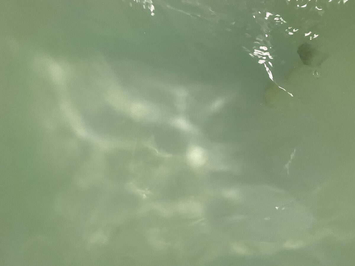  モンスターバブル かろやかDAYS /バブ/炭酸系入浴剤を使ったクチコミ（3枚目）