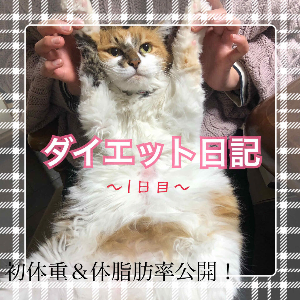 自己紹介/雑談/その他を使ったクチコミ（1枚目）