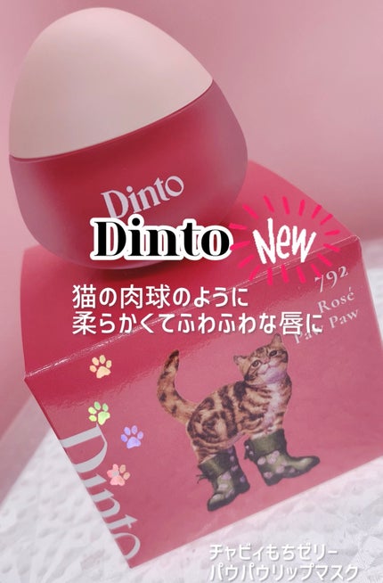 ãã£ããã¡ãŒãªãŒããŠããŠãªãããã¹ã¯/Dinto/ãªãããã¹ã¯ã䜿ã£ãã¯ãã³ãïŒ1æç®ïŒ