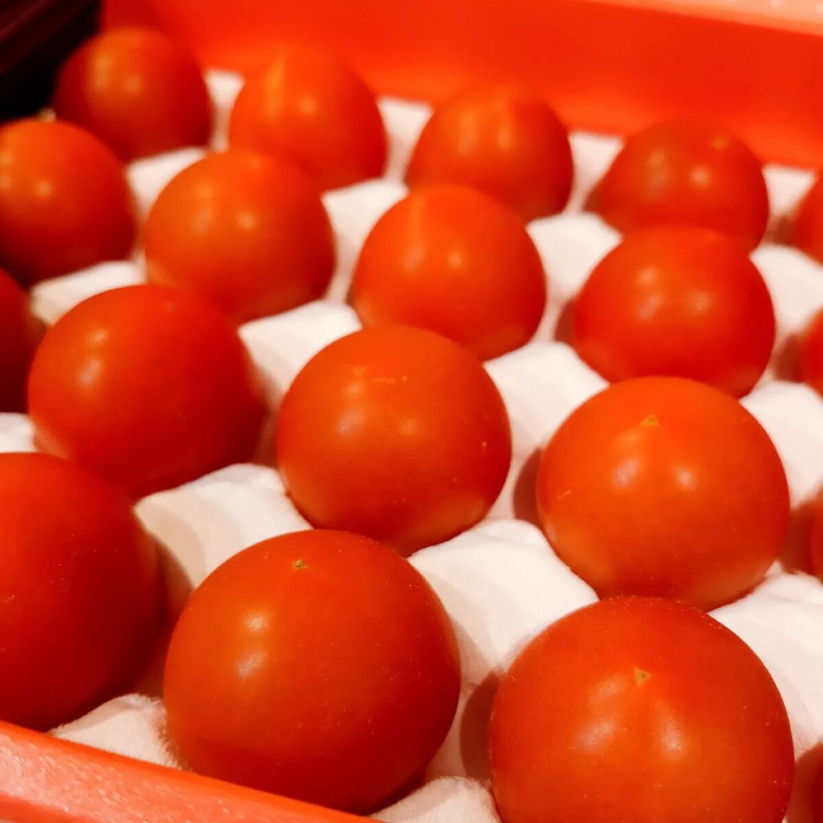 BH Tomato/リコピュア/食品を使ったクチコミ(4枚目)