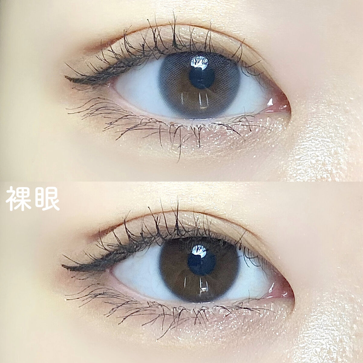 メローズ(Mellows)/OLOLA/カラーコンタクトレンズを使ったクチコミ（3枚目）