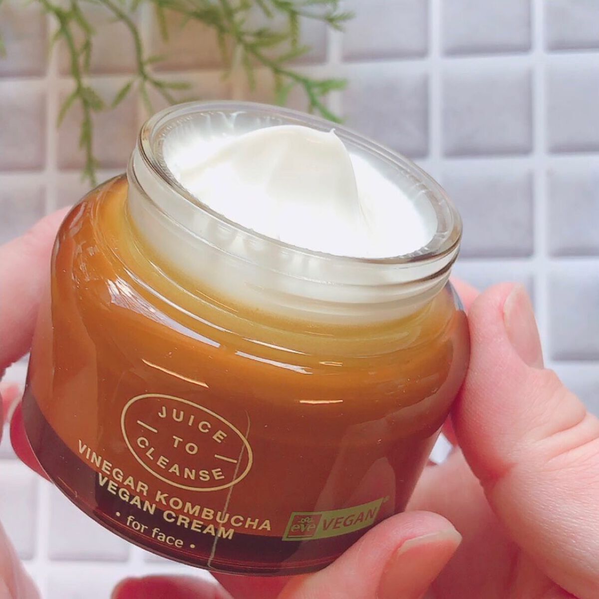 ビネガー コンブチャヴィーガン クリーム/JUICE TO CLEANSE/フェイスクリームを使ったクチコミ(2枚目)
