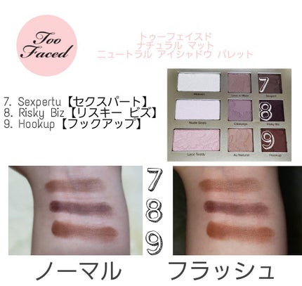 ナチュラル アイズ ニュートラル アイシャドウ パレット/Too Faced/アイシャドウパレットを使ったクチコミ(5枚目)