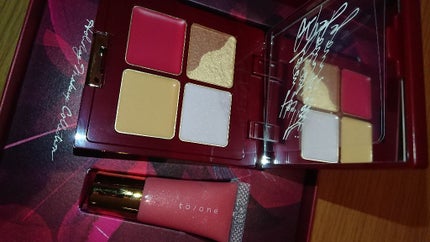 ホリデー メイクアップ コレクション 2018/to/one/メイクアップキットを使ったクチコミ(3枚目)