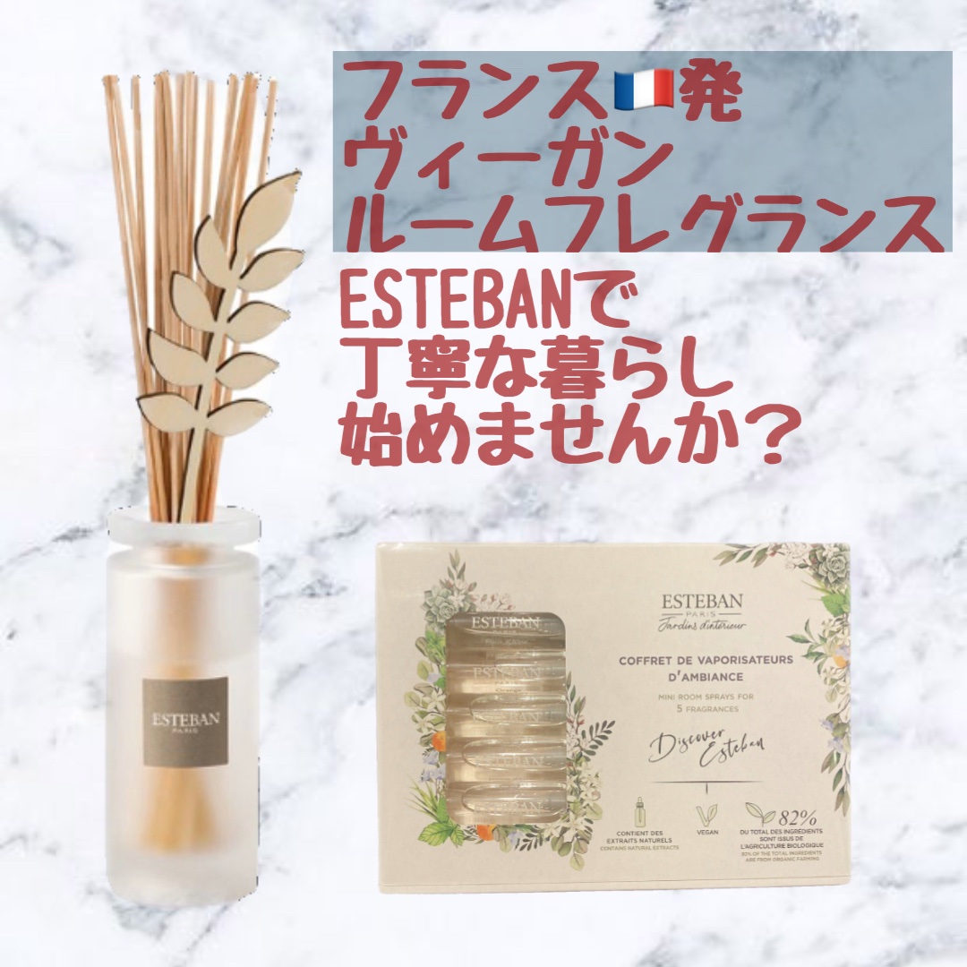 インテリアガーデン ナチュール ラタンブーケ ディフューザー /ESTEBAN/ルームフレグランスを使ったクチコミ（1枚目）