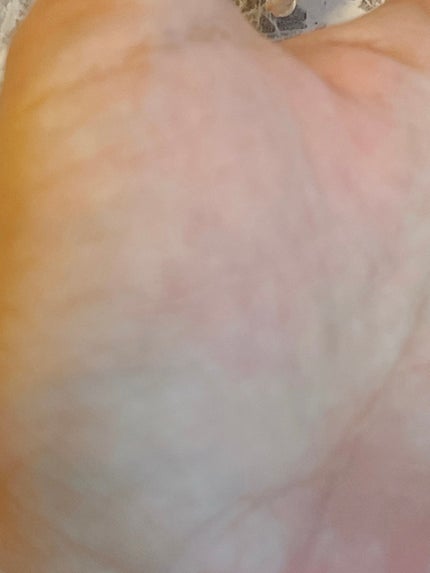 デリケートシルクベールアートプライマー/TFIT/化粧下地を使ったクチコミ(5枚目)