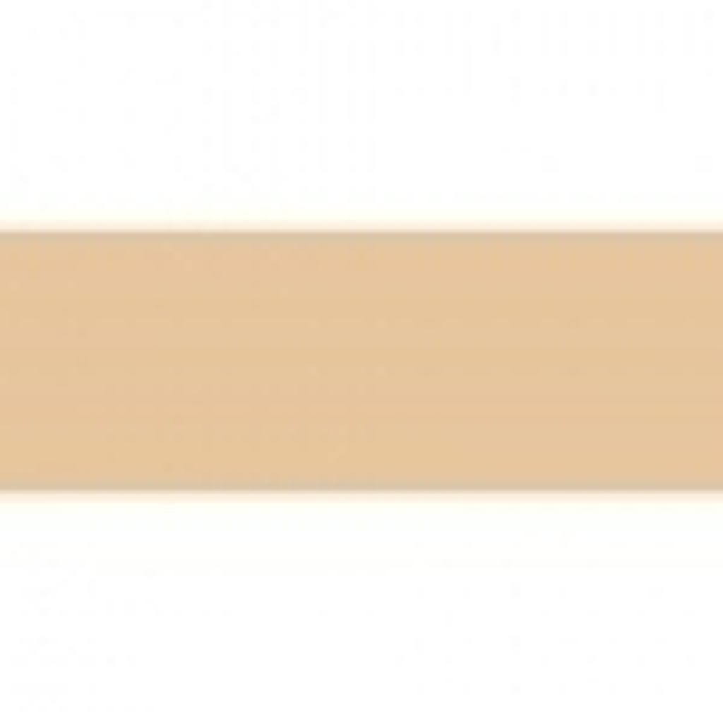 アルビオン パウダレスト 040