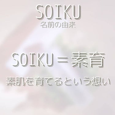 スキンウォーター/SOIKU/化粧水を使ったクチコミ（3枚目）