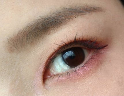 レ キャトル オンブル/CHANEL/アイシャドウパレットを使ったクチコミ(2枚目)