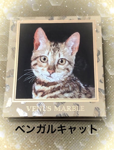 Venus Marble アイシャドウキャットシリーズ ベンガルキャット/Venus Marble/アイシャドウパレットの画像