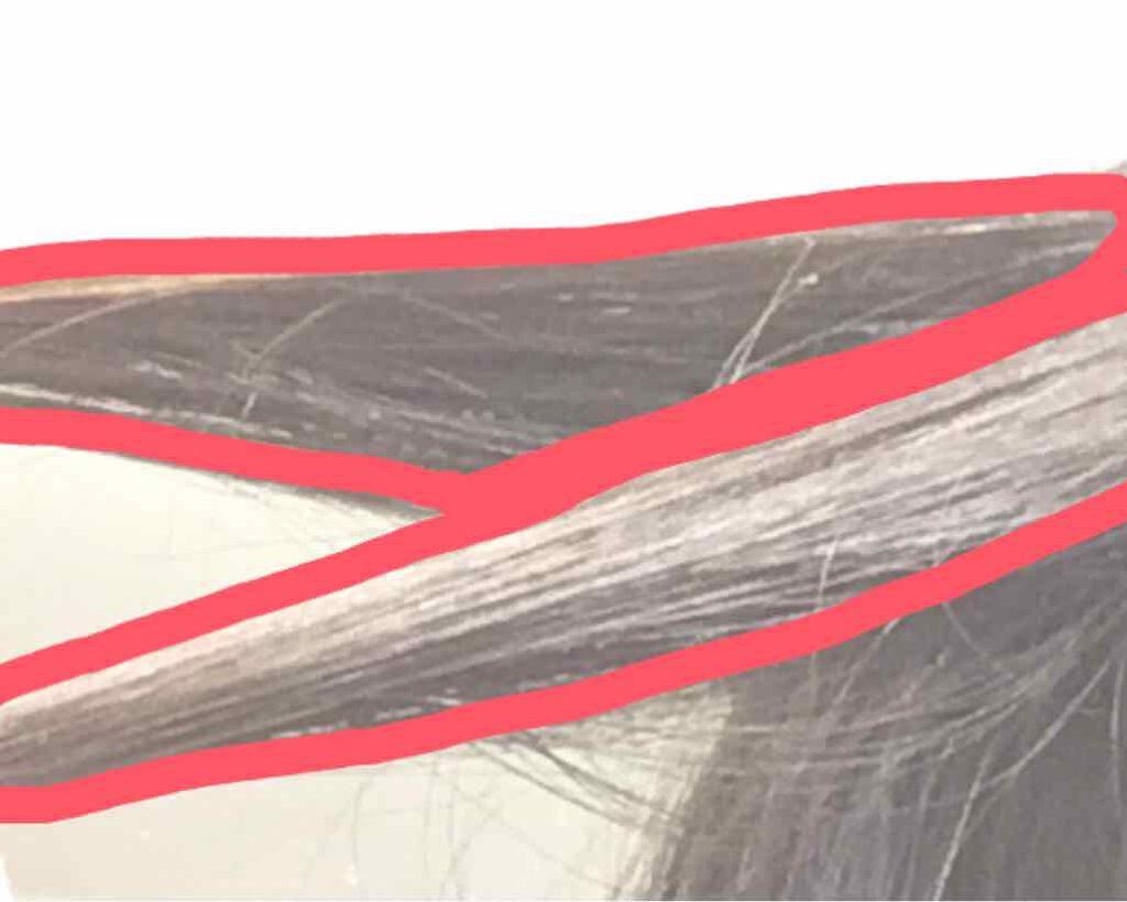 coral_cosme_7e0a on LIPS 「シースルー前髪の作り方今回は私のシースルー前髪について紹介しま..」(3枚目)