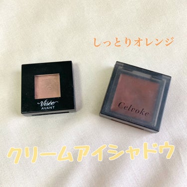 ヴィセ アヴァン シングルアイカラー クリーミィ 105 COPPER SAND/Visée/ジェル・クリームアイシャドウを使ったクチコミ（1枚目）