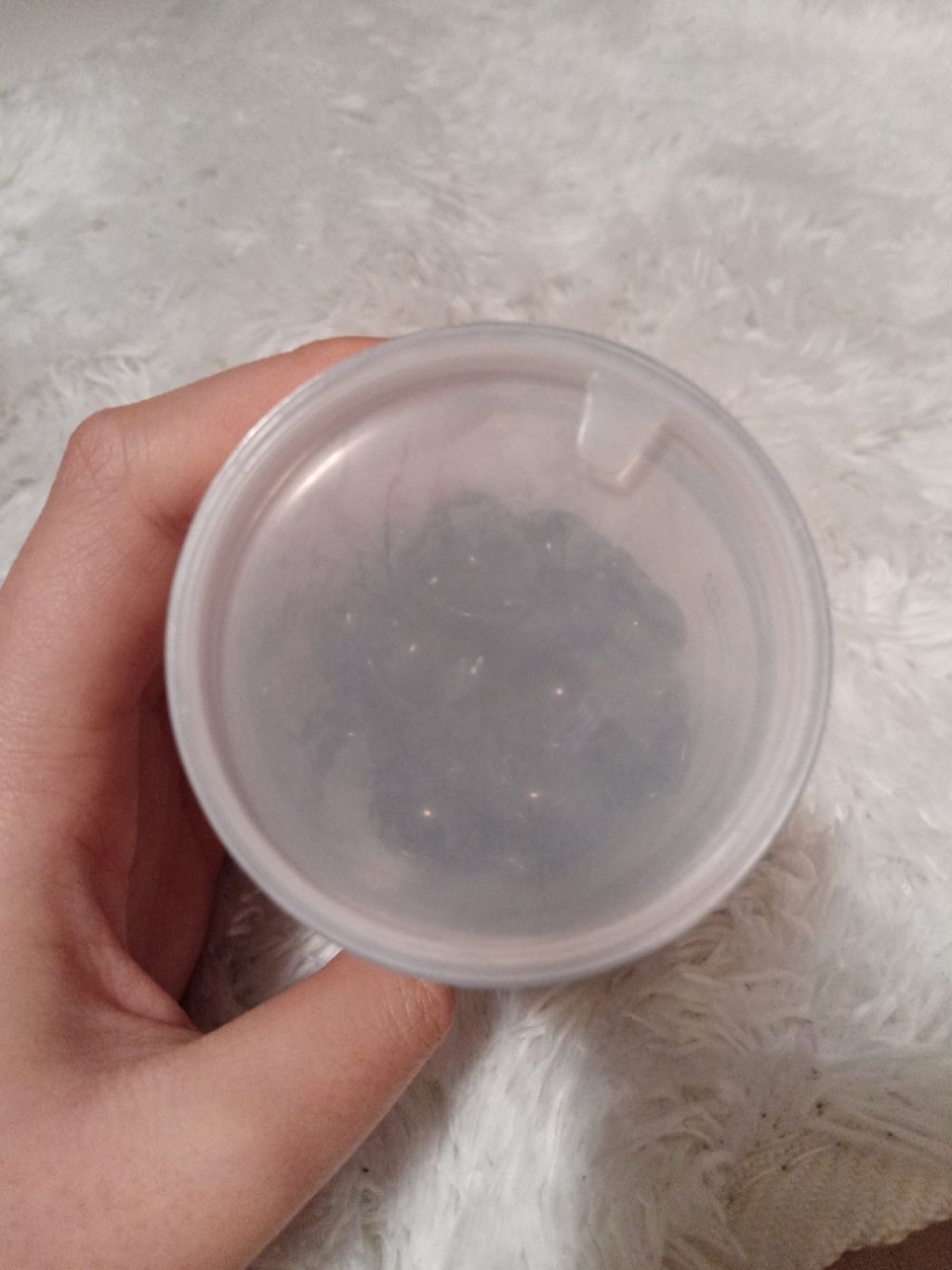 ヘアーオイル【シャイニーブラック】/ellips/ヘアオイルを使ったクチコミ(2枚目)