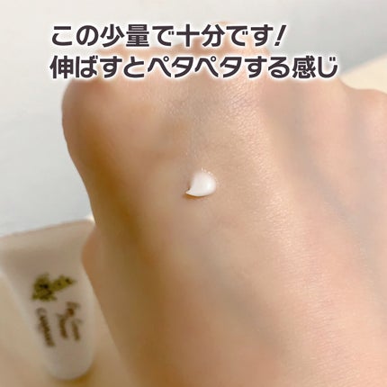 アイクリームプライマー/キャンメイク/アイシャドウベースを使ったクチコミ(2枚目)