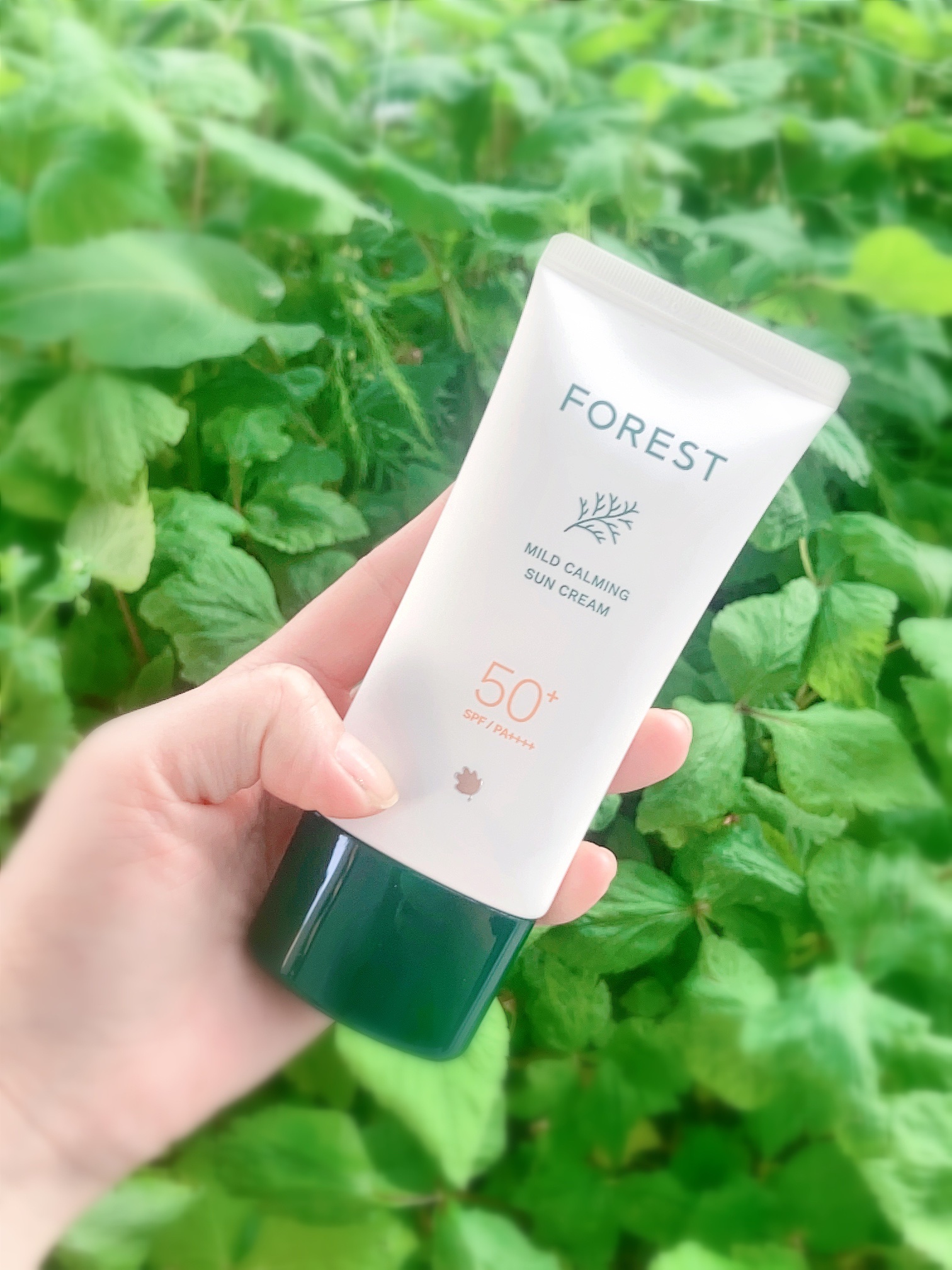 フォレスト マイルドカーミングサンクリーム/FoRest by Greenfinger/日焼け止めクリームを使ったクチコミ（2枚目）