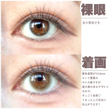 HoneyDrops 1day 15.0mm すけつやジェリー/HONEY DROPS/ワンデー（１DAY）カラコンを使ったクチコミ（3枚目）