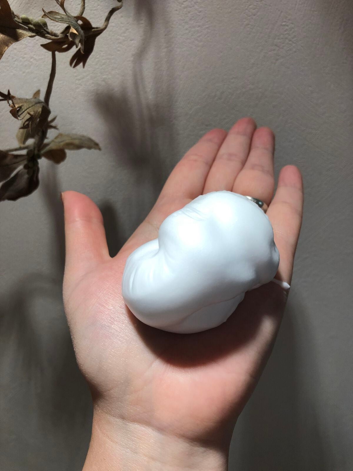 クリスタルホイップ/SHIRORU/泡洗顔を使ったクチコミ(3枚目)