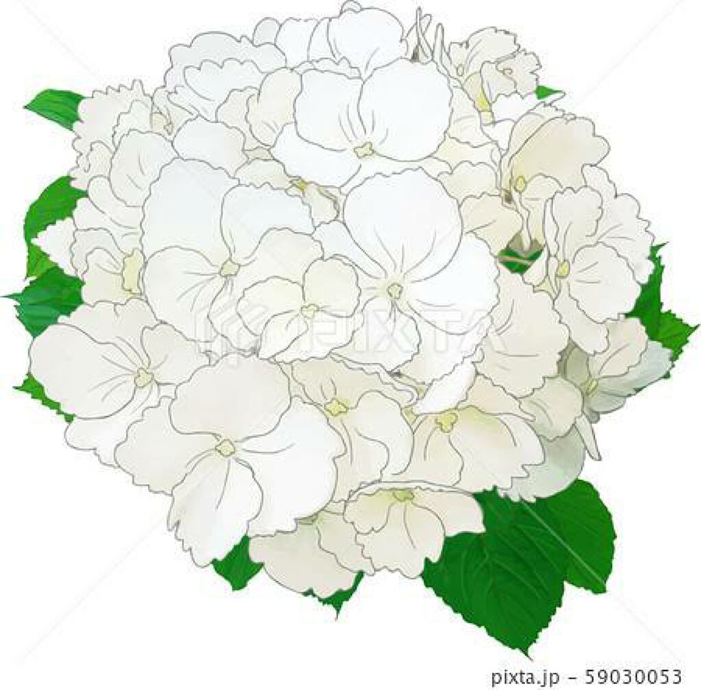 絹白しっとり下地/絹白/化粧下地を使ったクチコミ（1枚目）