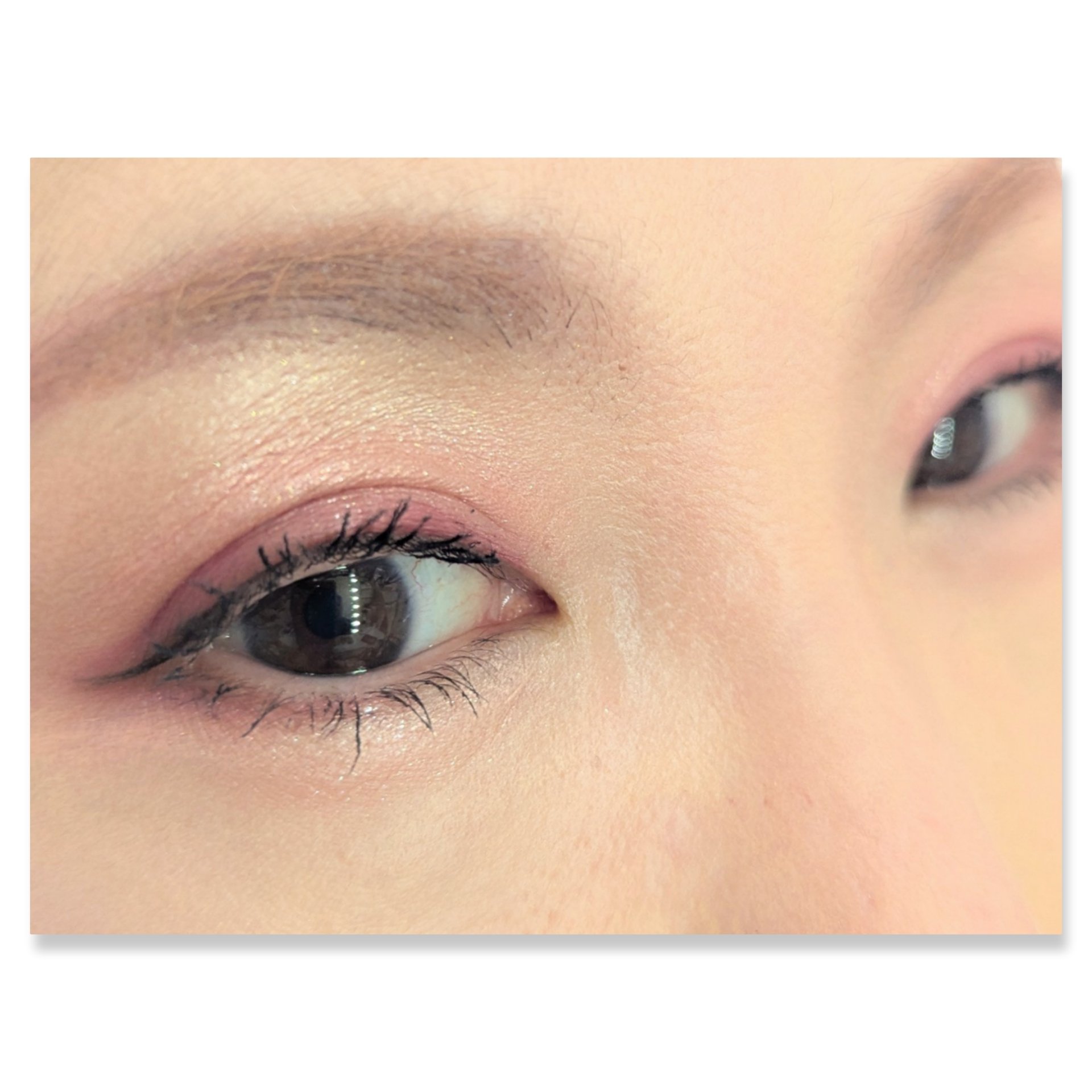 ショコラスウィート アイズ/リンメル ロンドン/アイシャドウパレットを使ったクチコミ（2枚目）