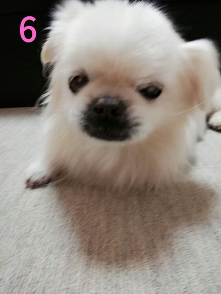 しっかりクリアジェル/ビオレ/クレンジングジェルを使ったクチコミ(7枚目)