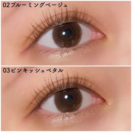 マルチブルーミングアイズ/K-パレット/スティックアイシャドウを使ったクチコミ(9枚目)