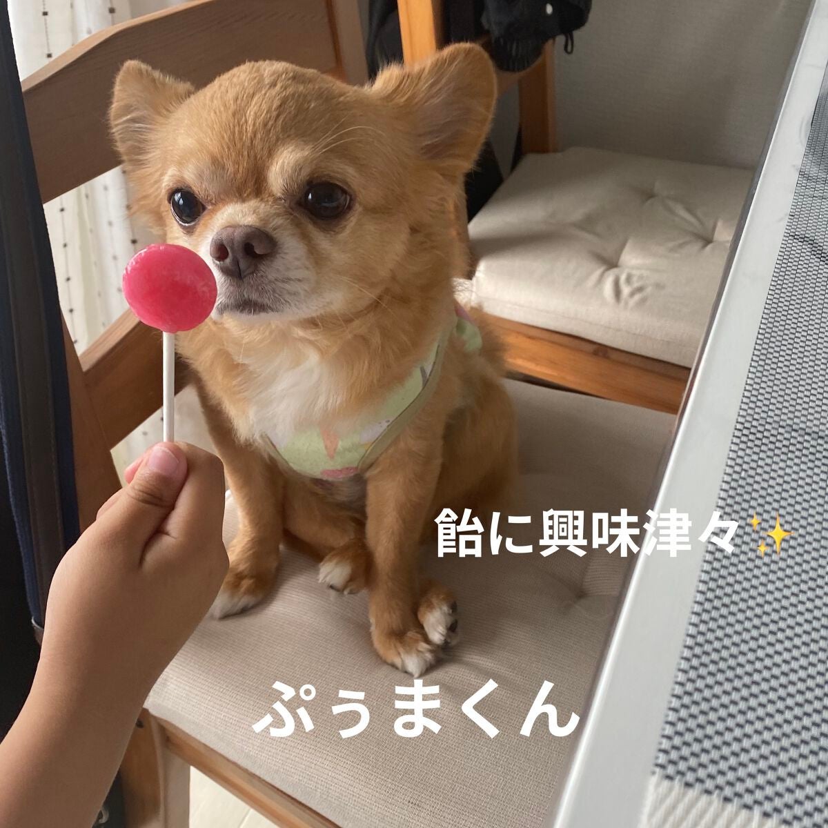 カラフルネイルズ/キャンメイク/マニキュアを使ったクチコミ(5枚目)