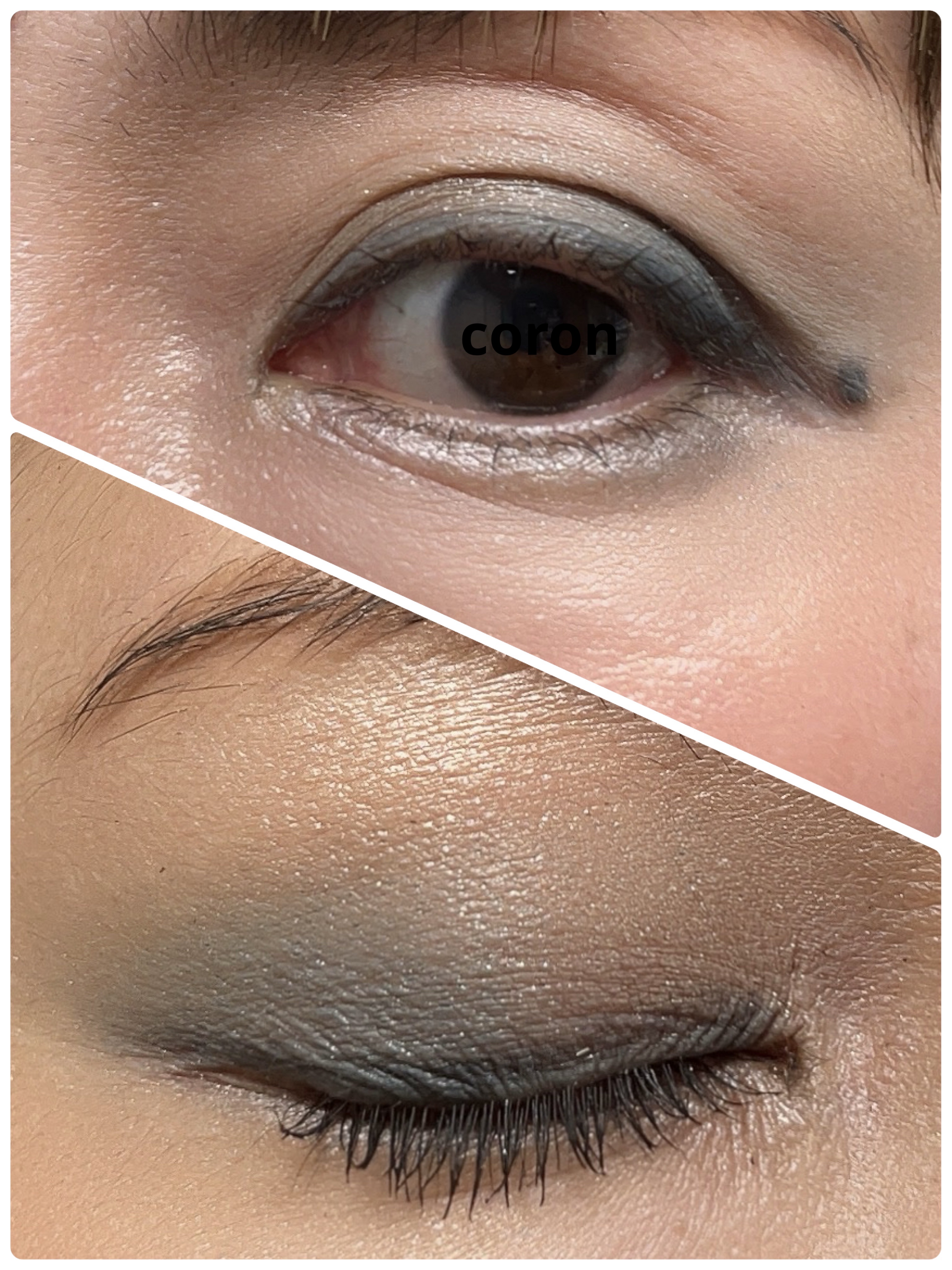 shu uemura ウォンテッド トレジャーボックス アイパレット グランドラインのクチコミ「こんにちは😃
コロン💕です

#いつかのメイク

shu uemura
ウォンテッド トレジャ.....」（2枚目）