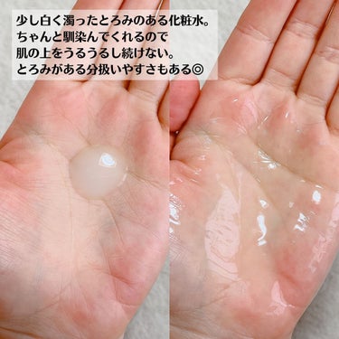 極潤 薬用ハリ化粧水【医薬部外品】/肌ラボ/化粧水を使ったクチコミ（5枚目）