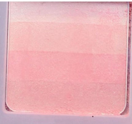 グラデーションチーク N/excel/パウダーチークを使ったクチコミ(2枚目)