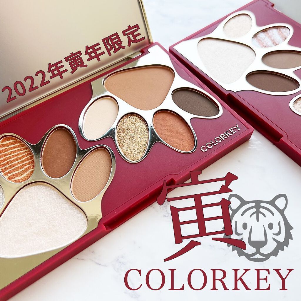 トラ十色アイシャドウパレット/COLORKEY/アイシャドウパレットを使ったクチコミ（1枚目）