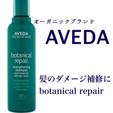 ダメージした髪の毛に　#aveda(アヴェダ) #ボタニカル リペア シャンプー


植物パワーで髪を補強、補修してくれます

#アボカド
#グリーンティー
#サチャインチ 
の３つのオイルが髪の絡まり
