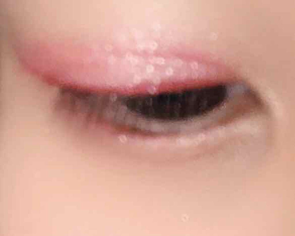 Mint on LIPS 「〜2回目〜〘若干量産型メイクかな、、、??〙1.パーフェクトス..」(3枚目)